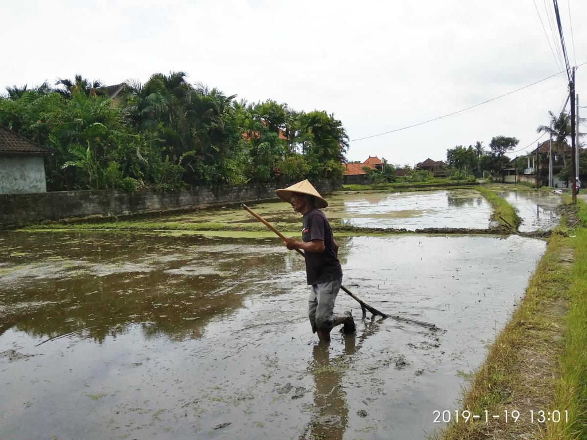 Bhuana Alit 2 Ubud 외부 사진