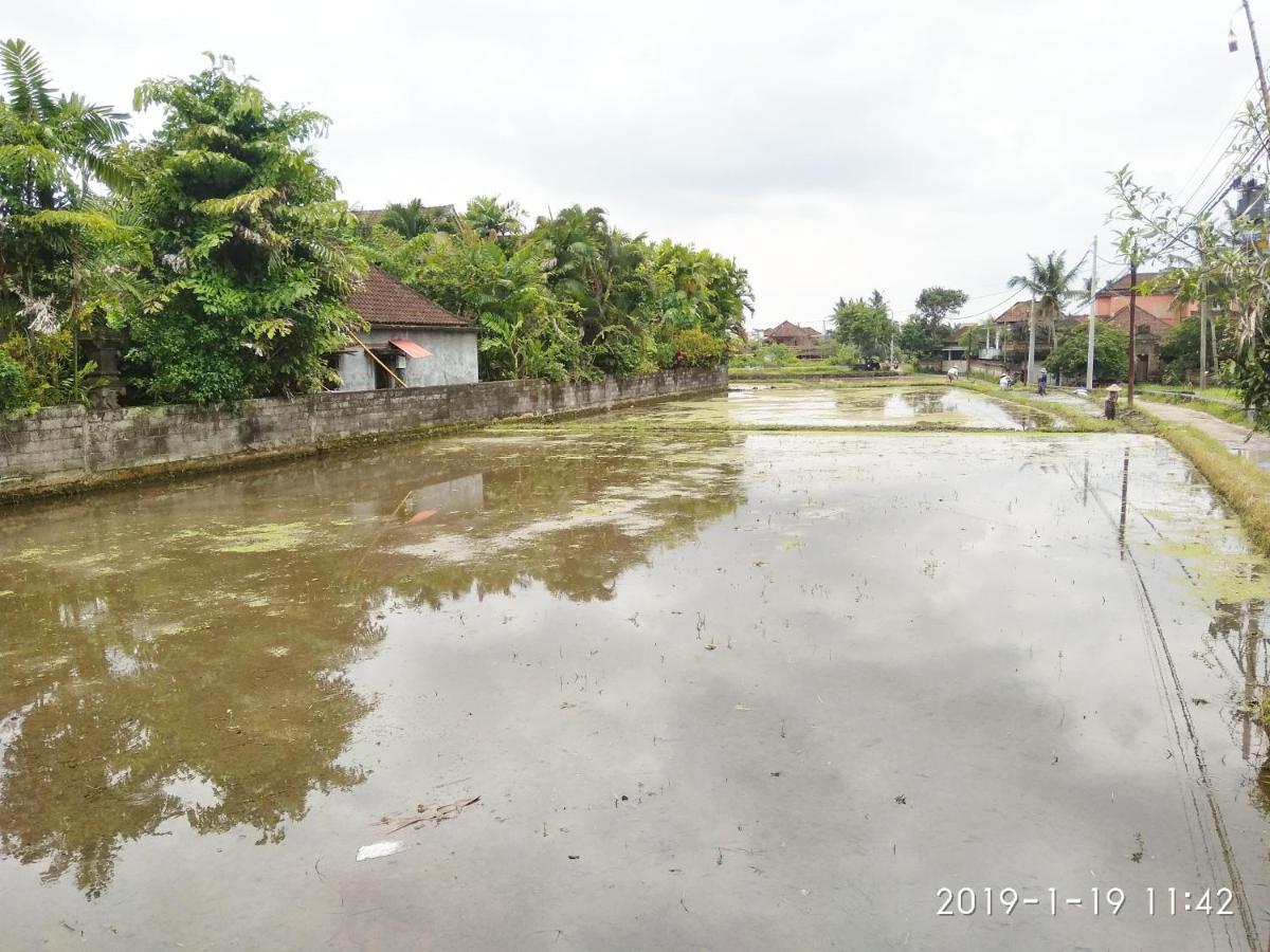 Bhuana Alit 2 Ubud 외부 사진